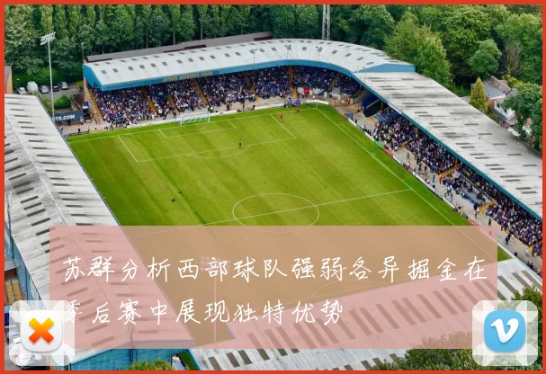 苏群分析西部球队强弱各异掘金在季后赛中展现独特优势